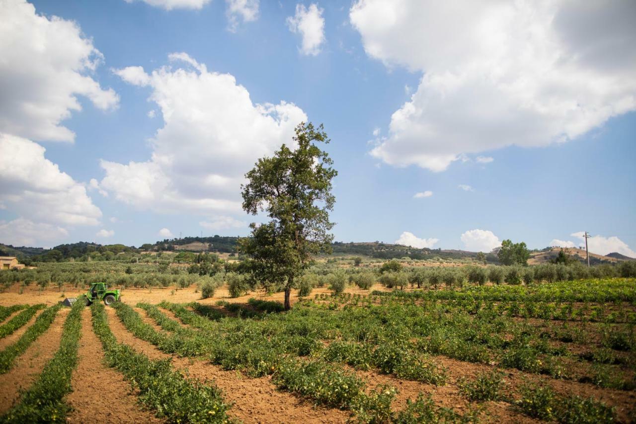 Leano Agriresort Piazza Armerina Exteriér fotografie