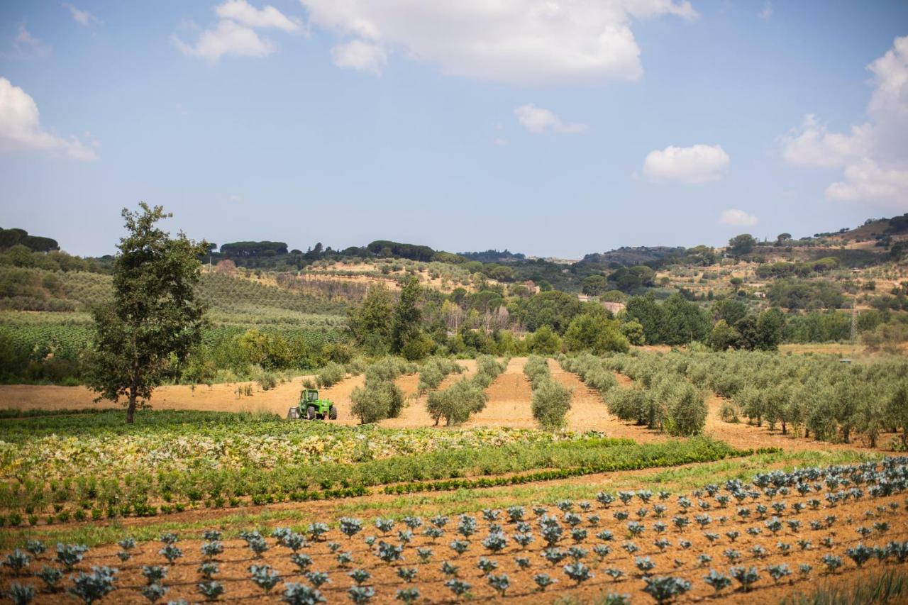 Leano Agriresort Piazza Armerina Exteriér fotografie